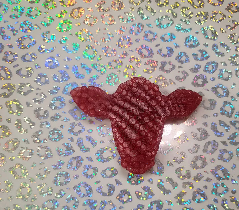 Dorothy's Shoes Pigment Powder