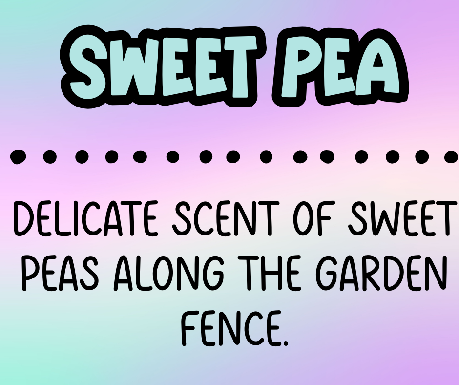 Sweet Pea *FINAL STOCK*