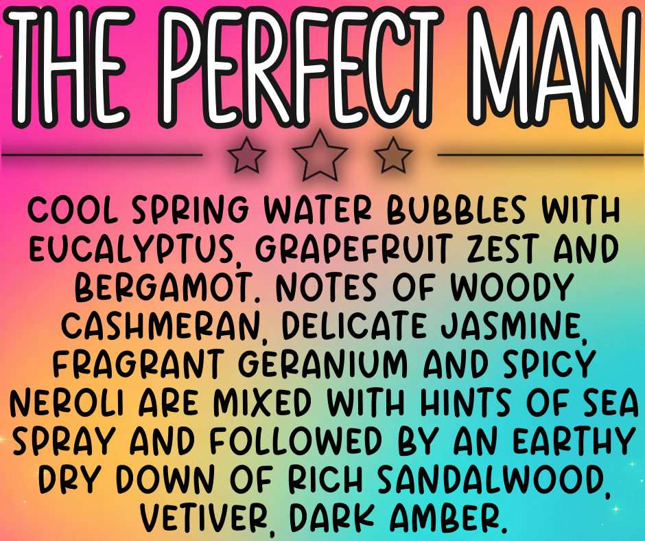 The Perfect Man