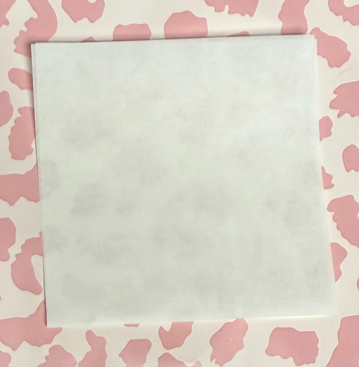 4x4” Parchment Paper - Set of 10