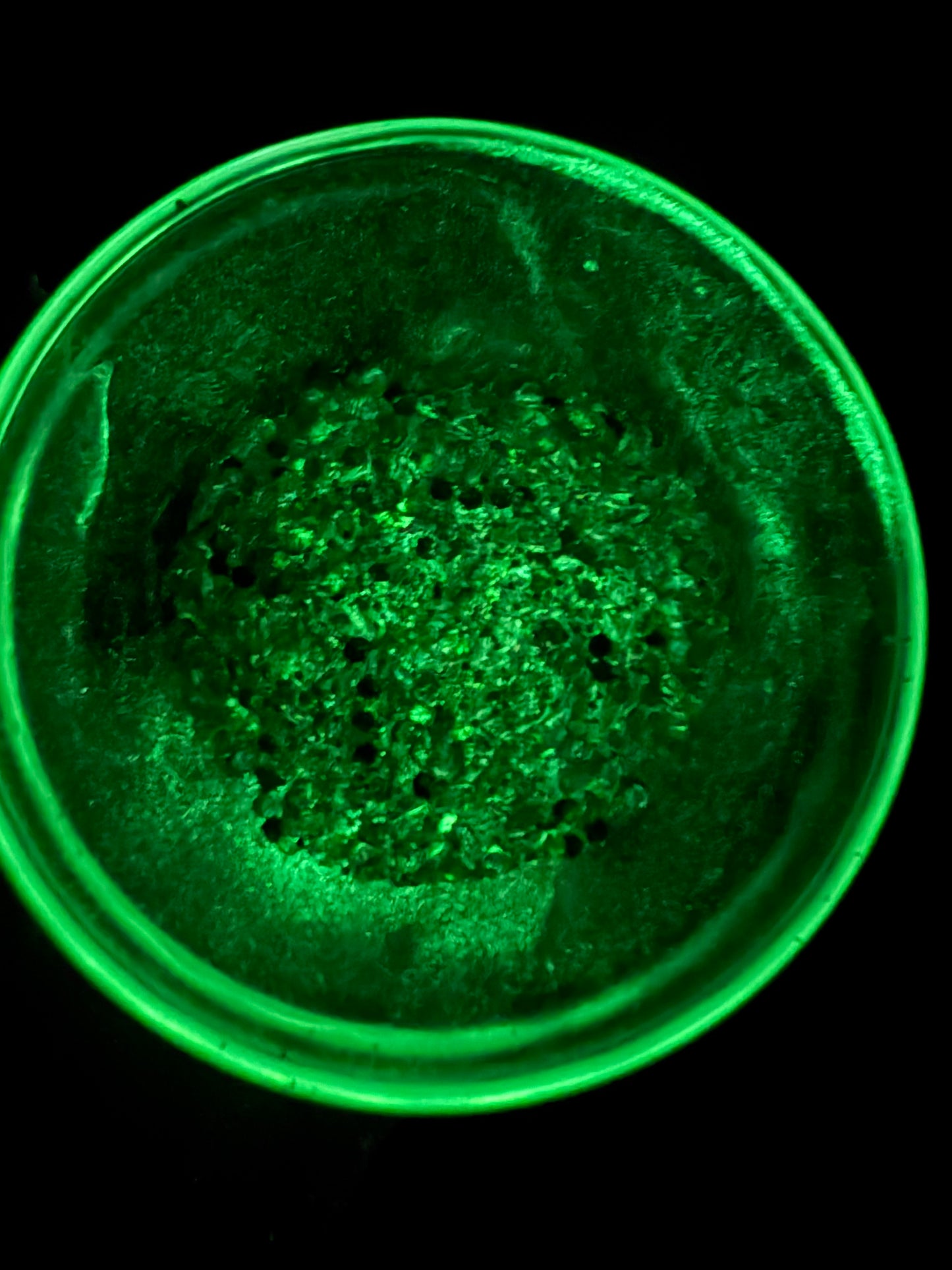 Spooky Sparkle - Chunky Mix Glitter