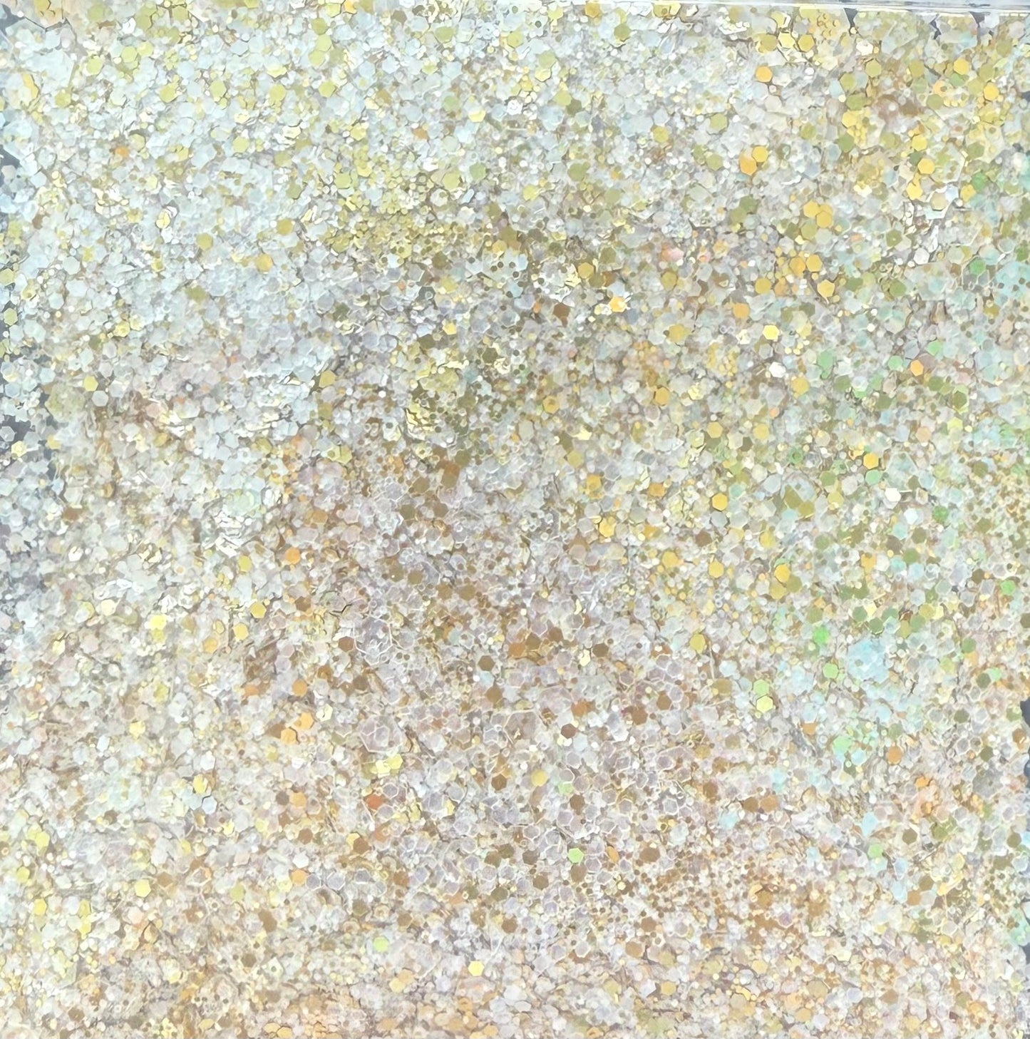 Trophy Wife - Chunky Mix Glitter
