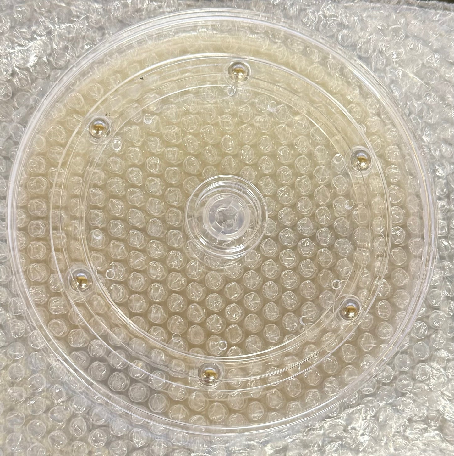 6" Decorating Spin Plate